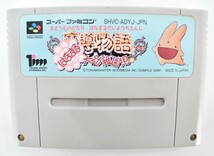 SFC 魔道物語 はなまる 大幼稚園児 Tim 動作品 スパーファミコン ゲーム カセット アルル /ぷよぷよ RJ-489TE/911_画像1