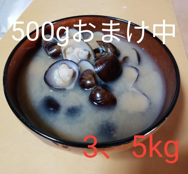 【おまけ中!】お買い得!!出汁が濃い!!ふさこばぁちゃんの愛知県産サイズ色々ド新鮮しじみ☆元払いクール便発送☆【大好評!】
