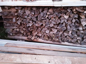  firewood receipt limitation (pick up) dry settled Hyogo prefecture production light truck one cup approximately 350 kilo wide leaf . camp .. fire outdoor BBQ wood stove sauna .