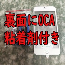 OCA糊付き 白 iPhone8 フロント パネル ガラス 修理 交換用 工具付き パーツ 画面 割れ 破損 ヒビ リペーア ホワイト Glass 粘着剤付き_画像1