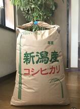 美味しい〜 新米 新潟産 コシヒカリ ☆ 30 kg 令和 5年度産_画像1