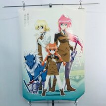 中古品 魔法少女リリカルなのはStrikerS DVD特典 B2ポスター 全9種セット_画像7