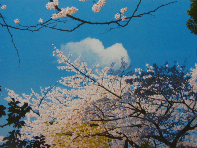 Tomohiro Momose Frühlingshimmel, Aus einer seltenen Sammlung von Rahmenkunst, Nagelneu mit hochwertigem Rahmen, In guter Kondition, Kostenloser Versand, marin, Malerei, Ölgemälde, Natur, Landschaftsmalerei