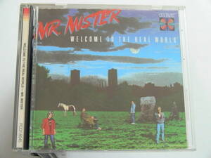 【JAPAN EXPORT】MR.MISTER / WELCOME TO THE REAL WORLD PCD-18045 10B3 63 国内プレス逆輸入盤