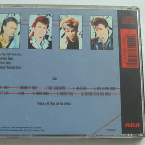 【JAPAN EXPORT】MR.MISTER / WELCOME TO THE REAL WORLD PCD-18045 10B3 63 国内プレス逆輸入盤の画像2