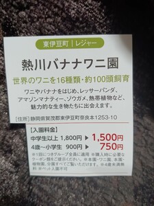 熱川バナナワニ園　静岡県　東伊豆　グループ全員割引　クーポン　割引券　2024年3月31日　ワニ　ゾウガメ　レッサーパンダ　マナティー