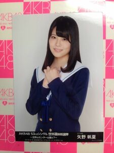 AKB48 53rdシングル 世界選抜総選挙 ～世界のセンターは誰だ～　2018.06.16 AKB48グループコンサートナゴヤドーム 矢野帆夏 STU48