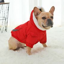 レッドLサイズ◆【残り数枚】犬服 中型犬用 ダウン風 フード ブルゾン ジャンパー ブルドッグ アウター 防寒 フレンチブルドッグ 高級感_画像5