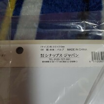 2024年鳥の壁掛けカレンダー_画像2