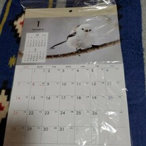 2024年鳥の壁掛けカレンダー_画像1