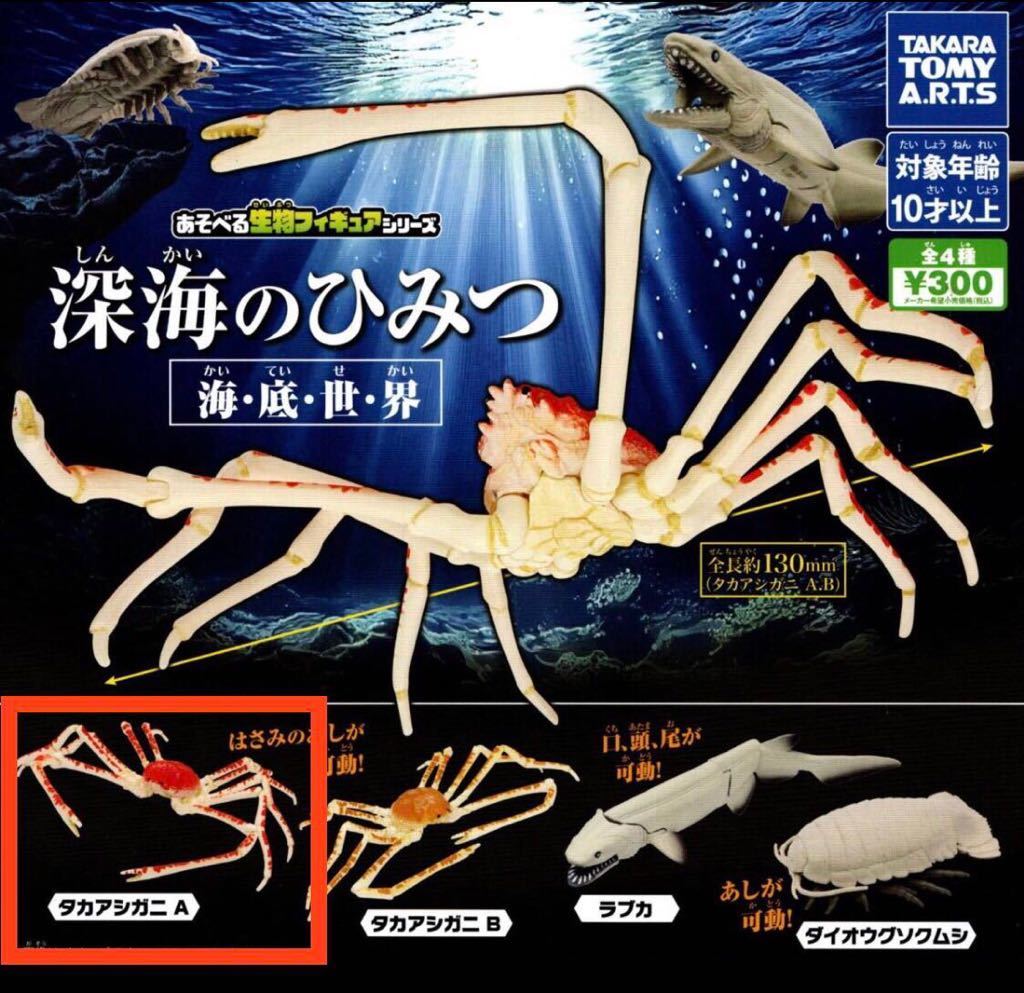 2025年最新】海遊館 タカアシガニの人気アイテム - メルカリ