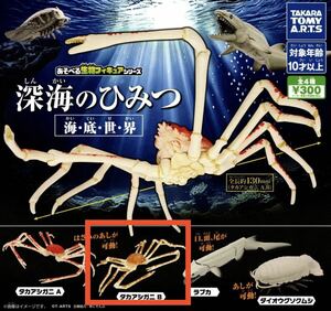 ■未開封新品深海のひみつ あそべる生物フィギュアシリーズよりタカアシガニB(全長130㎜)★タカラトミーアーツ★深海生物★ガシャポン