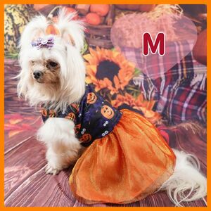 犬用 コスプレ 衣装 M ハロウィン 犬服 ドッグウェア 秋服 小型犬 仮装 犬服