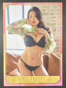  manner blow Kei HIT's First RG 77 swimsuit 1st bikini model trading card trading card 