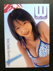 酒井 若菜　ヤングサンデー　021　水着 グラビア アイドル トレカ トレーディングカード