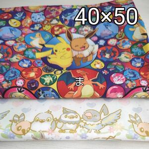 ポケモン ランチョンマット 40×50