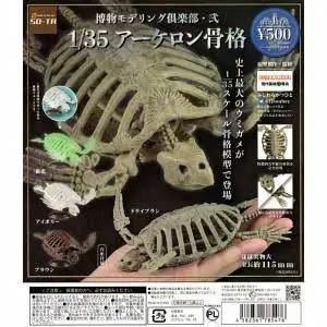 【未開封品】 ガチャ 博物モデリング倶楽部・弐 1/35アーケロン骨格 全4種SET