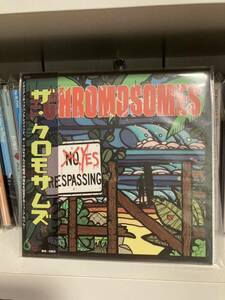 The Chromosomes 「Yes Trespassing 」CD 帯付き punk pop surf melodic italy sonic surf city ramones manges queers power pop