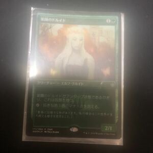 同梱発送歓迎！　MTG 楽園のドルイド　プロモ FOIL