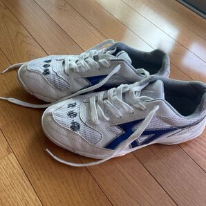 体育館シューズ25センチ