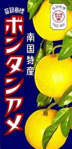 セイカ食品 ボンタンアメ 14粒×10箱