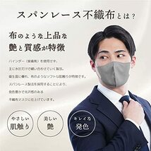 iSDG 医食同源ドットコム 立体型スパンレース不織布カラーマスク SPUN MASK 個包装 ホワイト 30枚入_画像3