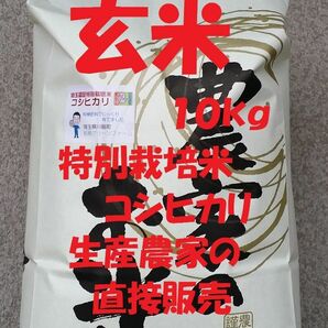 ◆新米◆[玄米]特別栽培米コシヒカリ10kg生産農家の直接販売