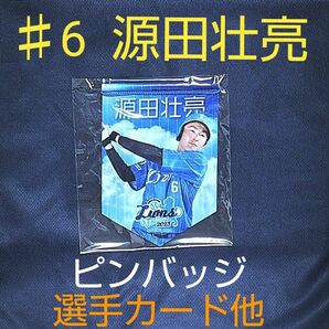 埼玉西武ライオンズ ☆ ♯６ 源田壮亮 ☆ タペストリー ☆ ピンバッジ ☆ プロ野球カード 他