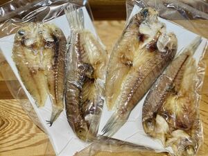 国産 天然 甘鯛干物 1パック 120g 愛媛県豊後水道産 アマダイ あまだい 冷凍発送