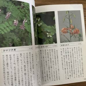 茶花植物ハンドブック 四季の野の花・庭の花 奥山春季・奥山和子 主婦の友社 1994 /Zの画像7