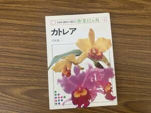 カトレア　NHK趣味の園芸・作業12カ月 /Z