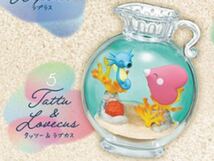 ポケットモンスター AQUA BOTTLE collection2 〜煌めく海辺の思い出〜 タッツー＆ラブカス ポケモン アクアボトル リーメント_画像1