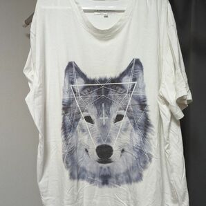 PARADIX Tシャツ 