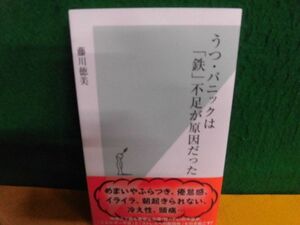 うつ・パニックは「鉄」不足が原因だった　藤川徳美　光文社新書