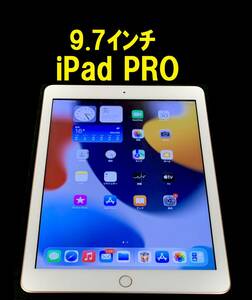 ◆ iPad PRO 本体 ipad apple タブレット アイパッド ゴールドクーポン wifi　ゾロ目の日　5の付く日　0911 IPAD 9.7インチ