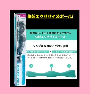 ◆ ◆ PROIDEA（プロイデア） 体幹エクサポール ◆ ストレッチ 体幹 背中 エクササイズ 猫背 姿勢矯正 ダイエット 骨盤矯正 腰痛 対策