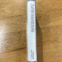 カセットテープ☆輸入盤☆洋楽☆ DAVID HASSELHOFF_画像3