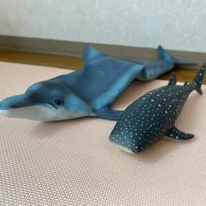 イルカ　サメ　ラバー人形