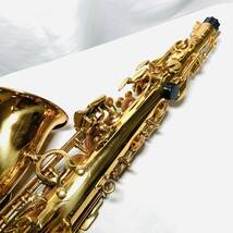 Kaerntner アルトサックス　ケルントナー　サックス　sax 管楽器　木管楽器　吹奏楽　ジャズ　ポップス　音楽_画像8