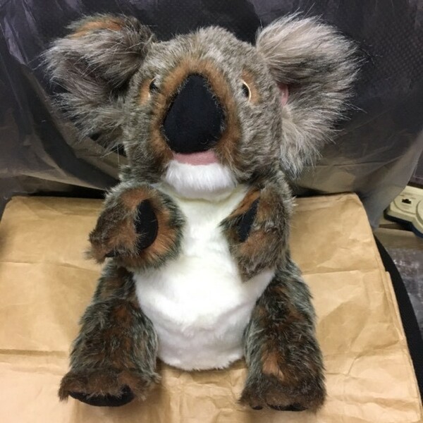 正規品 コアラ パペット ぬいぐるみ オーストラリア Australia Seeret Gully koala puppet stuffed toy Doll