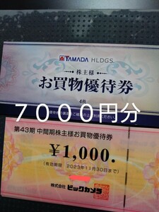 ヤマダ電機+ビックカメラ株主優待券　合計7000円分