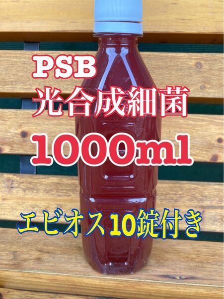 【送料無料】PSB光合成細菌1000ml +エビオス10錠セット 