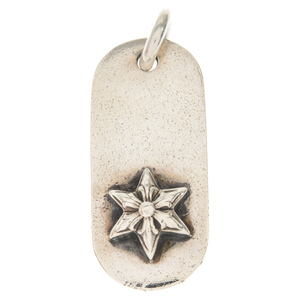 CHROME HEARTS クロムハーツ RAISED STAR DOGTAG レイズドスター ドッグタグ シルバーネックレストップ シルバー