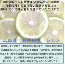 瀬戸田レモン　グリーンレモン　広島レモン　皮ごと食べてね　ノーワックス　産地直送　国産　3キロ　レモン_画像3