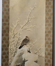 3798 【真作】榊原紫峰　雪中紅梅山鳩図　掛軸　肉筆　絹本　布表装　桐共箱_画像2