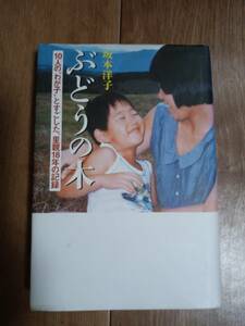 ぶどうの木―10人の“わが子”とすごした、里親18年の記録　坂本 洋子（著）幻冬舎　[n11]