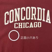 アメリカ古着　コンコーディア大学シカゴ校　カレッジ　プリント　半袖　Ｔシャツ　XLサイズ　ビッグサイズ　【Q14】_画像7