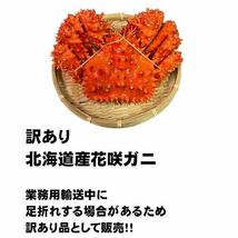 【訳あり】花咲がに　2尾（約400－500ｇサイズ）　ボイル　北海道産　花咲ガニ　かに　蟹　はなさきがに_画像2