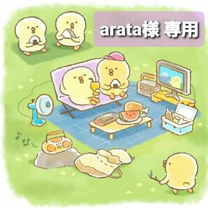 【arata 様 専用】ブルージュの丘 クッキー お菓子詰め合わせセット