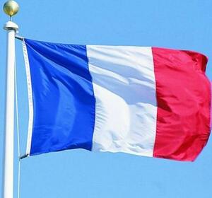 フランス 国旗 フラッグ 応援 送料無料 150cm x 90cm 人気 大サイズ 新品